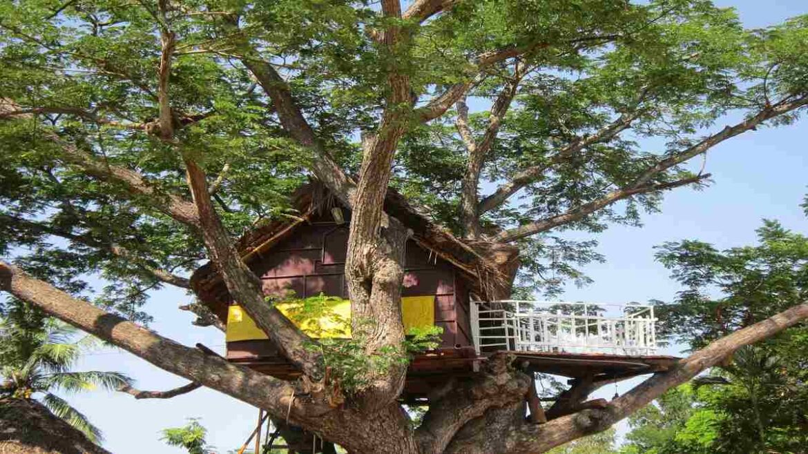 Hotel sugli alberi in Italia cosa sono e dove trovarle