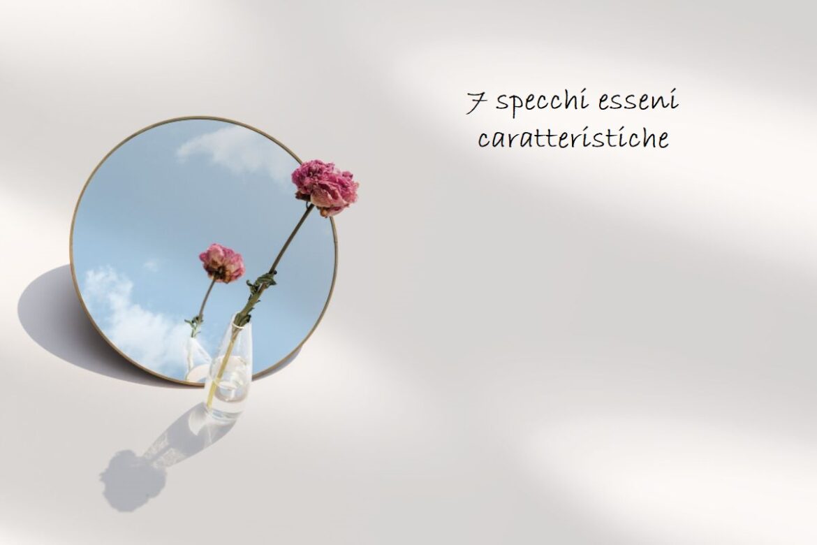 7 specchi esseni caratteristiche