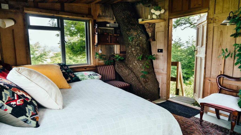 Hotel sugli alberi in Italia dove trovare i più belli Hotel sugli alberi in Italia cosa sono e dove trovare i piu belli 1