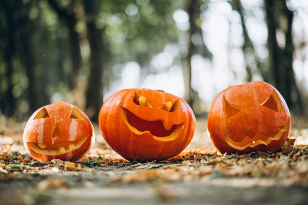 Campi di zucca in Italia dove trovare i più belli da Nord a Sud halloween pumpkins campi di zucca villaggio delle zucche san martino siccomario 1