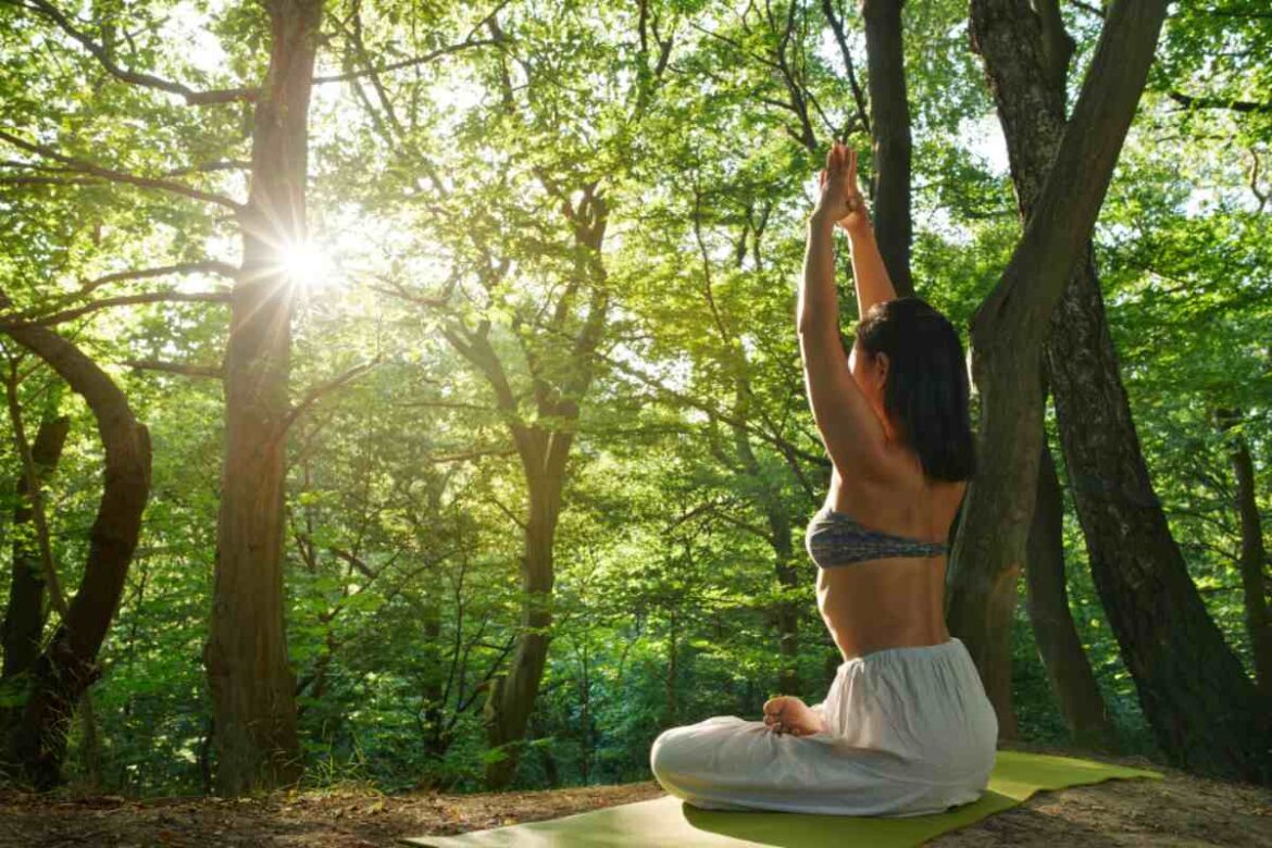 shinrin yoku o yoga nel bosco i benefici