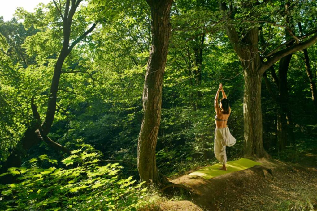 Yoga nel bosco yoga nel bosco o shinrin yoku