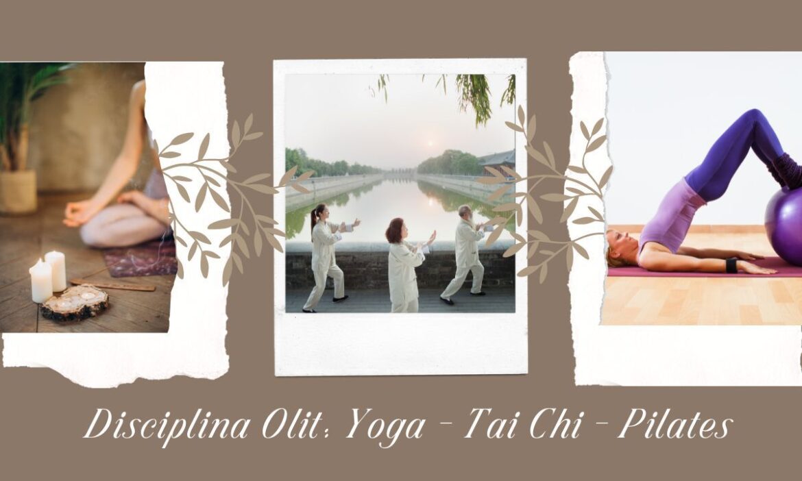 disciplina olit tai chi yoga e pilates