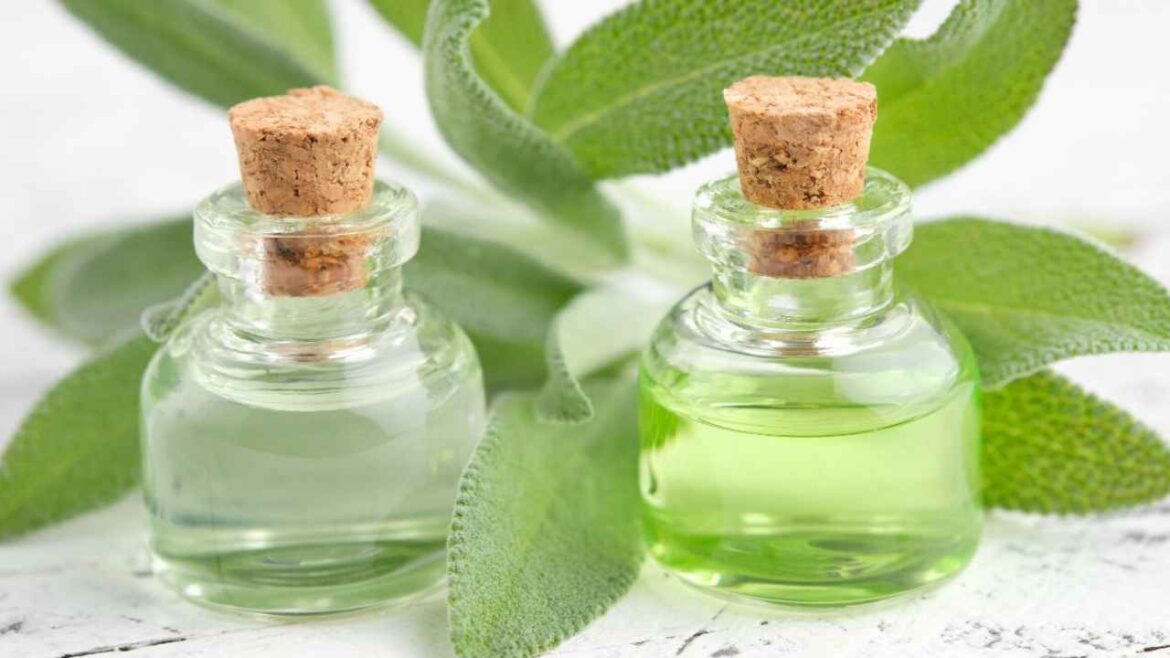Olio essenziale di salvia