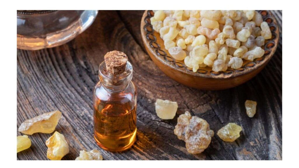 Benefici e modalità d'uso olio essenziale di incenso benefici olio essenziale di incenso