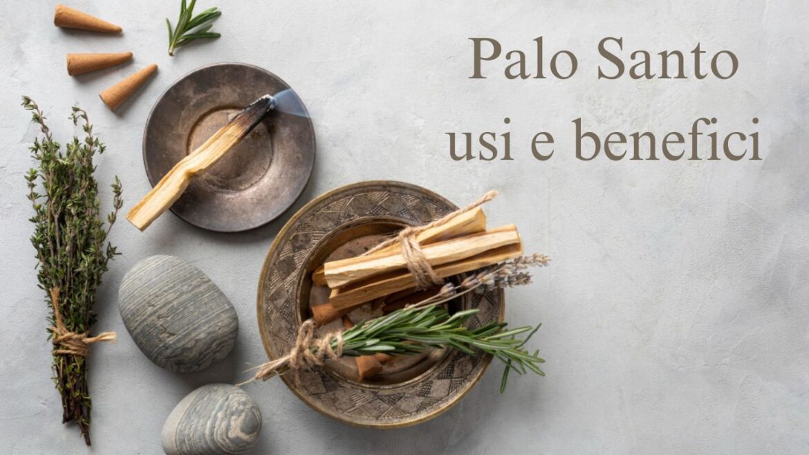 Palo Santo usi e benefici
