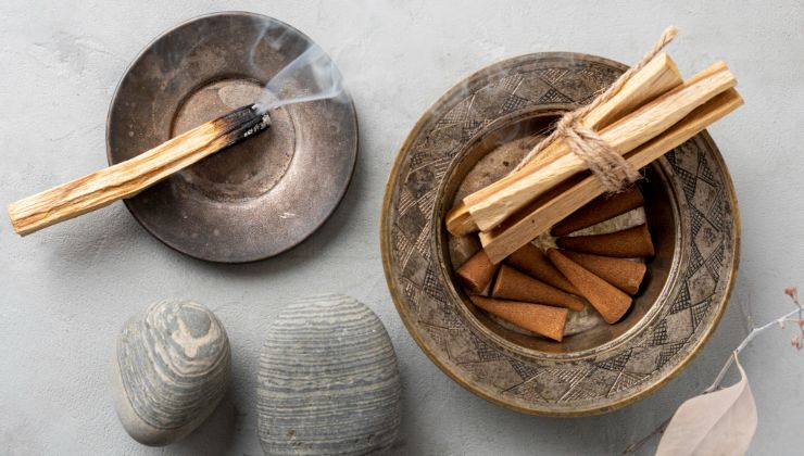 Cos'è il Palo santo - Usi e benefici palo santo comesmetteredipensare.it