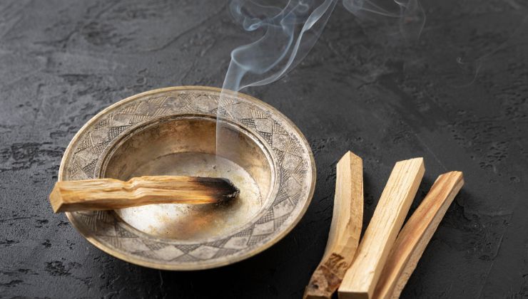 Cos'è il Palo santo - Usi e benefici usi e benefici del palo santo comesmetteredipensare.it
