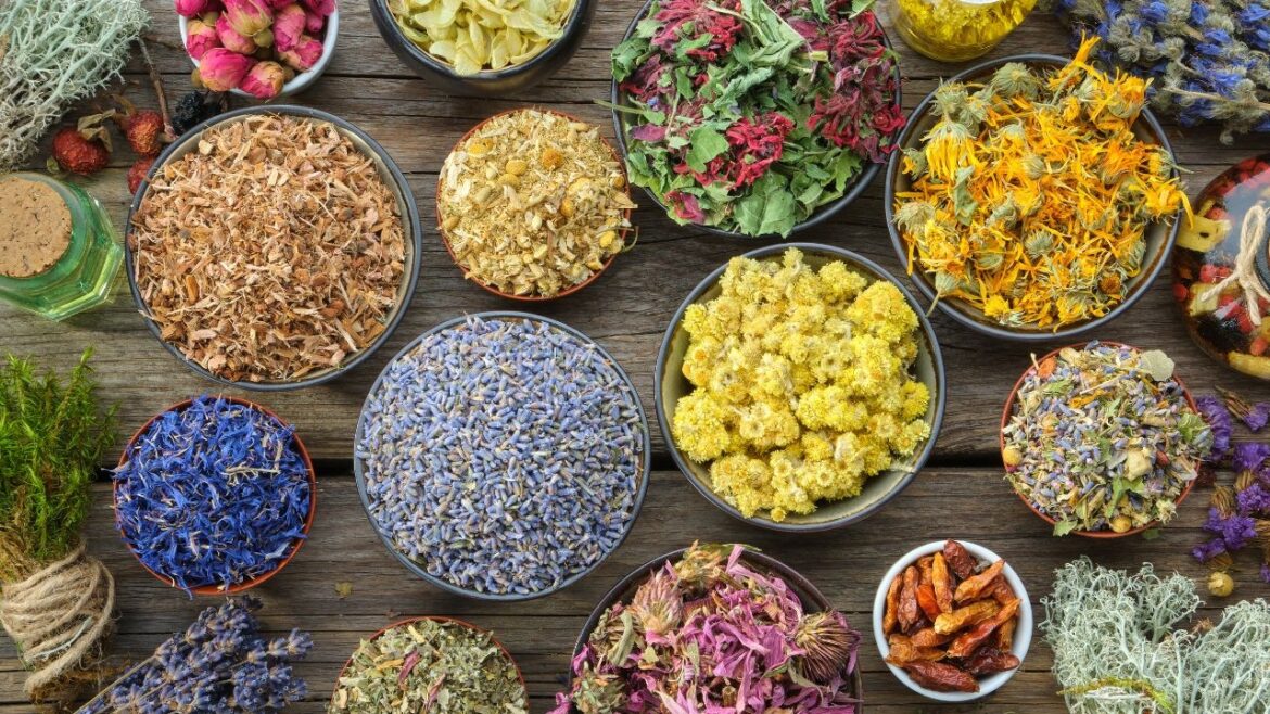 Scopri i benefici della dieta ayurvedica come può aiutare a mantenerti in salute