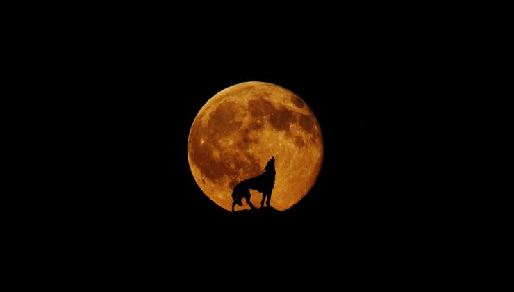 Yoga sotto la luna del Lupo comesmetteredipensare.it
