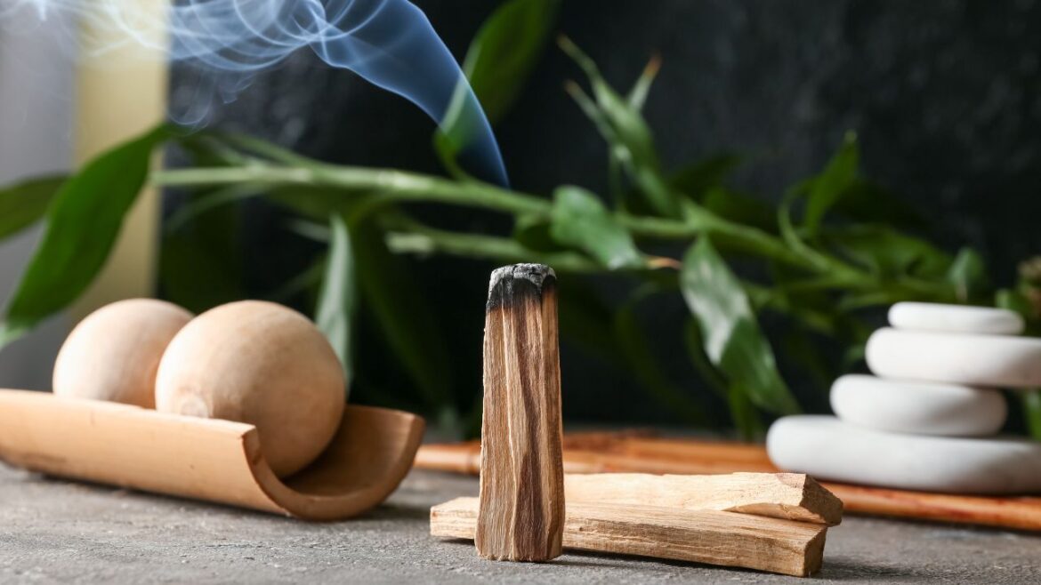 guida al Palo Santo