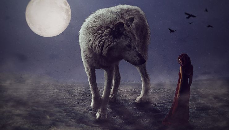 saggezza e intuizione della Luna del Lupo comesmetteredipensare.it