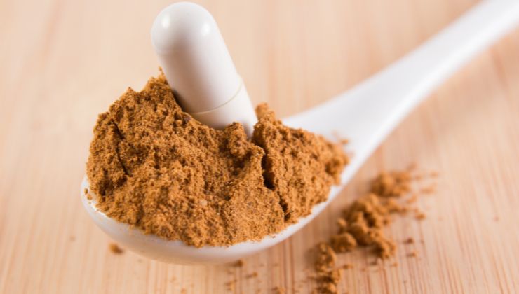 Guaranà, ottima alternativa al caffè benefici del guarana