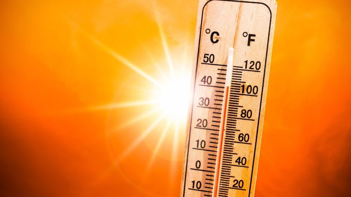 Prevenire i colpi di calore guida alla sicurezza per l'estate
