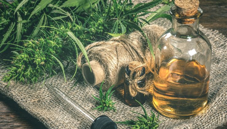 benessere e concentrazione con olio di cbd