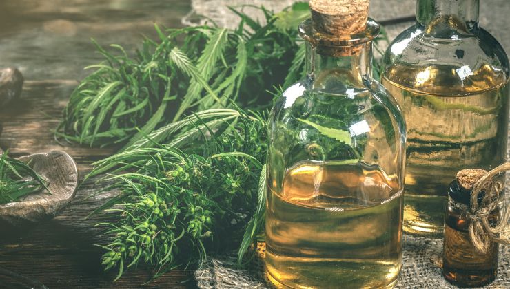 modalità assunzione olio di cbd