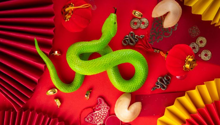 anno del serpente 2025