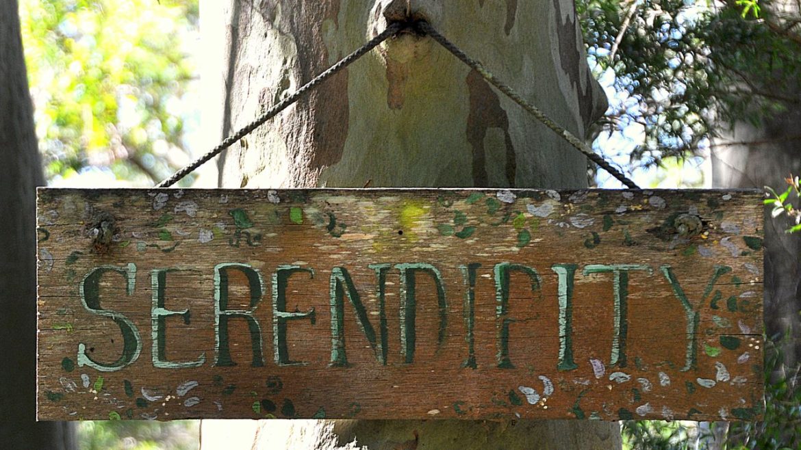 cos'è la serendipità